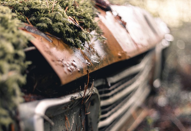 amnezia poezie catalin ionascu