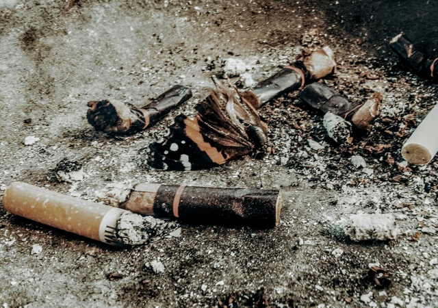 tigari poezie catalin ionascu